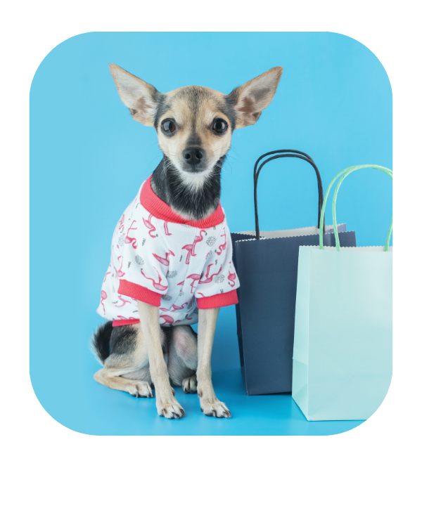 newin pets